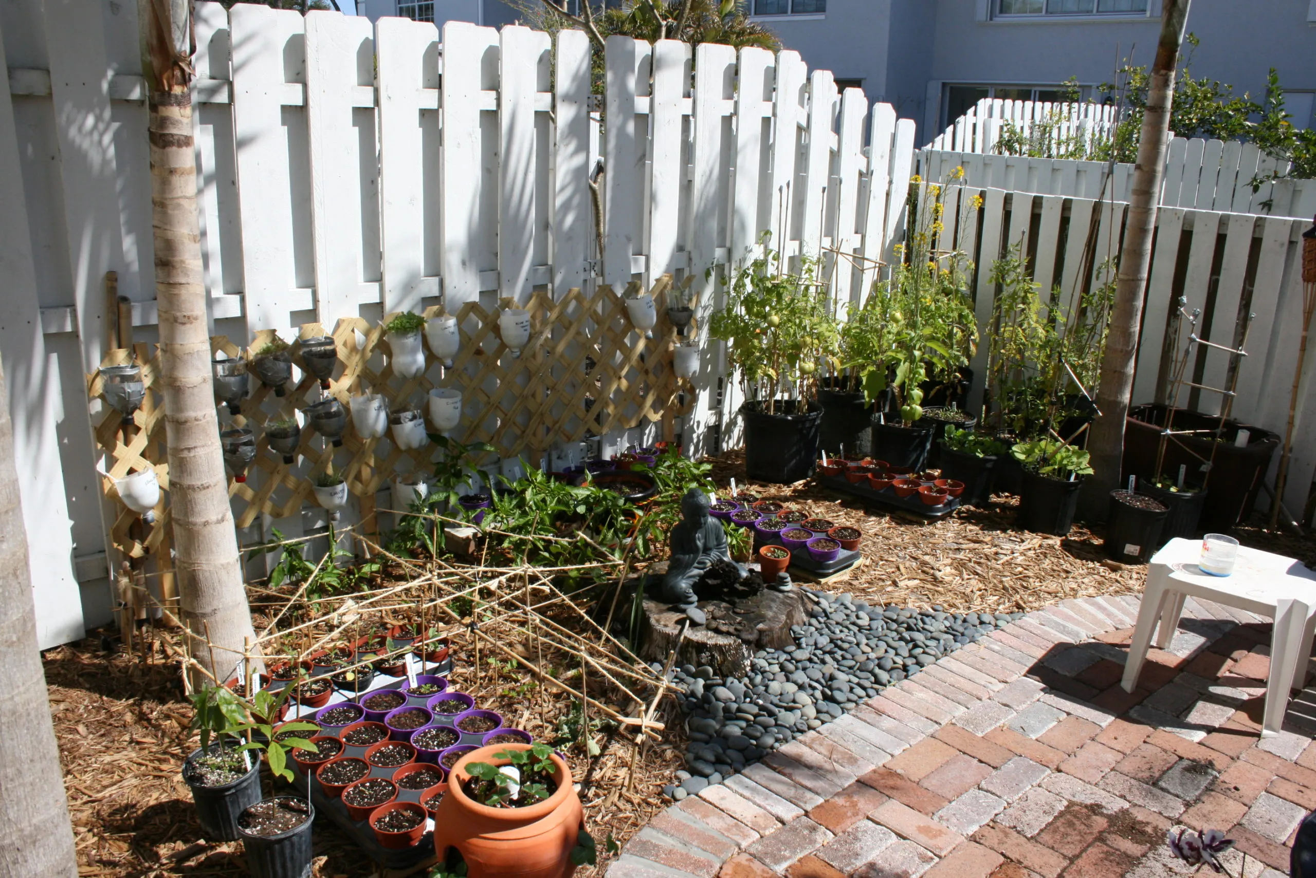 Early planting beds, 2009