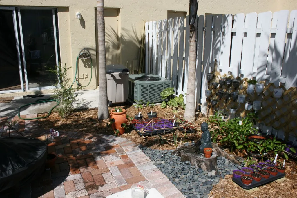 The garden in 2009, newly planted