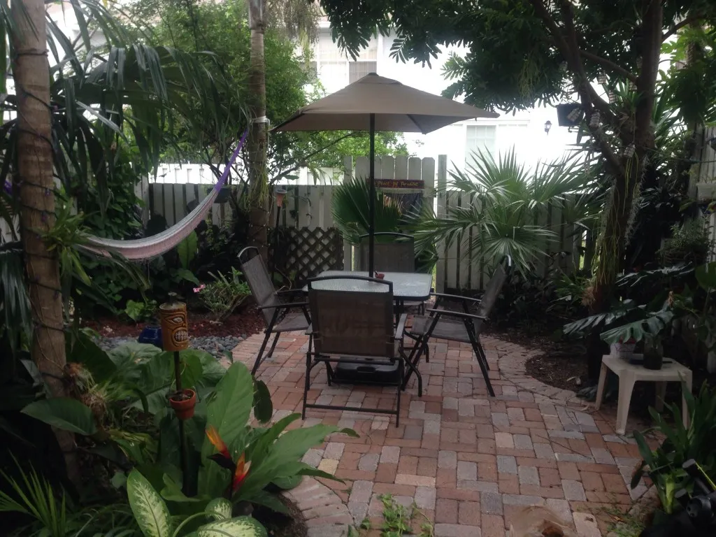 The backyard sanctuary, March 2014