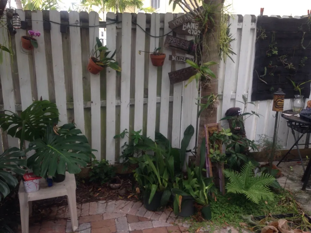 The garden in March 2014