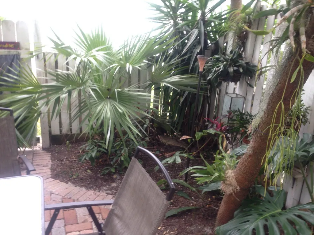 Garden beds, March 2014