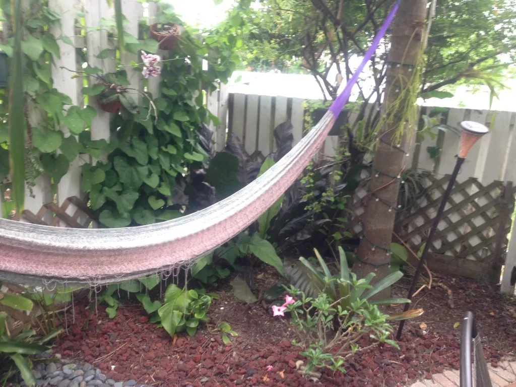 Plants and garden art, March 2014