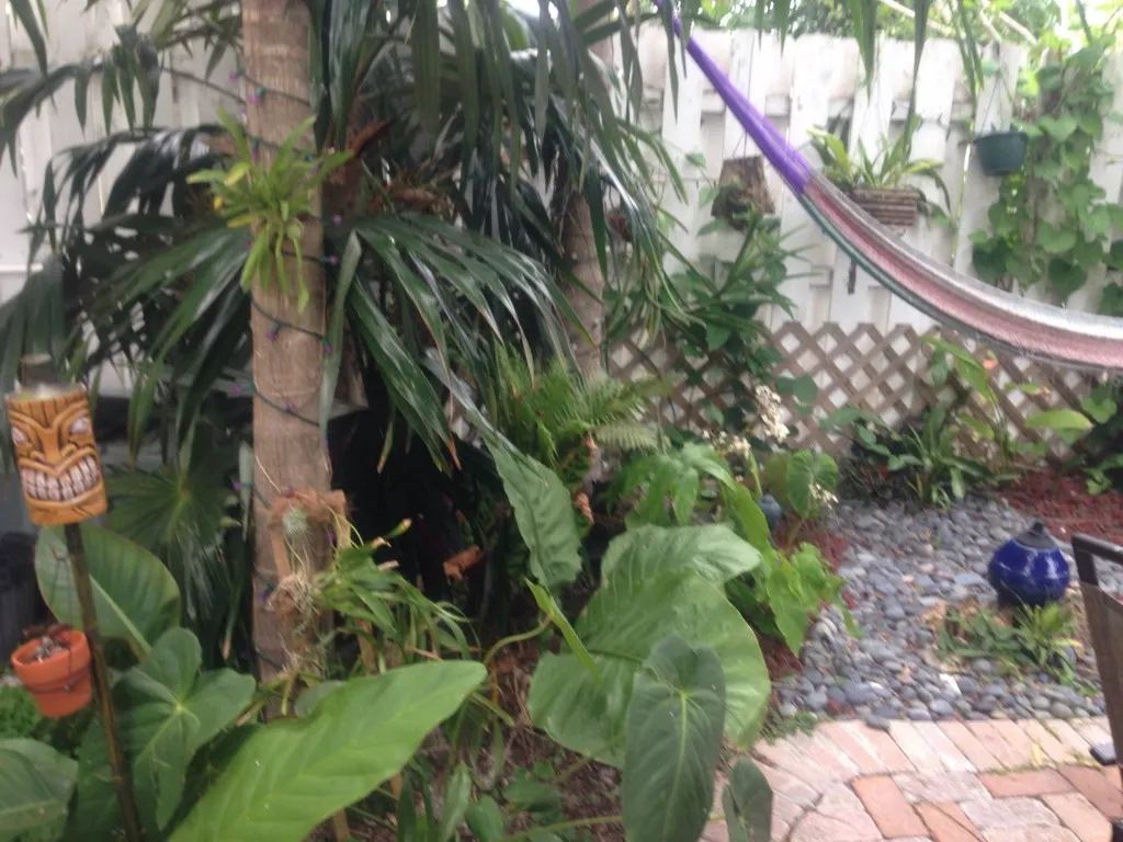 Grown-in planting, March 2014